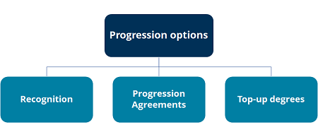 Flowchart showing progression options